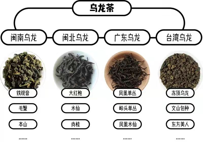 c037b69bc8cbd8631b07e78a5530a7d